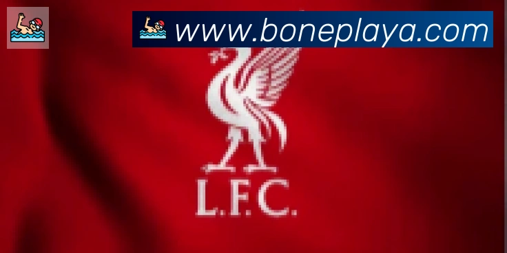 必一运动合作伙伴